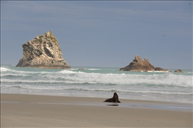 Sandfly Bay